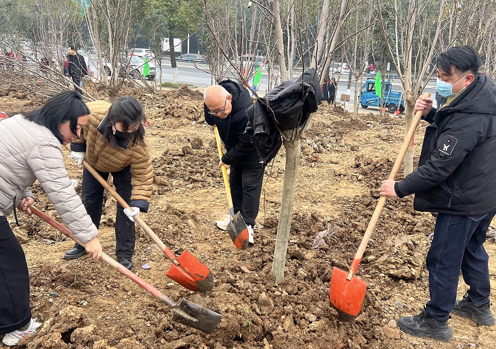 谷城植树_副本.jpg